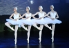 Four dancers in a line, wearing white tutus, perform in Swan Lake Four dancers in a line, wearing white tutus, perform in Swan Lake