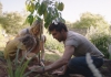 Lady, man and young girl plant a small tree in the ground Lady, man and young girl plant a small tree in the ground