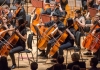 Cello players on stage, all dressed in black Cello players on stage, all dressed in black