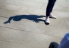 A person swearing trainers stands on paving slabs, creating a shadow of their legs and feet A person swearing trainers stands on paving slabs, creating a shadow of their legs and feet