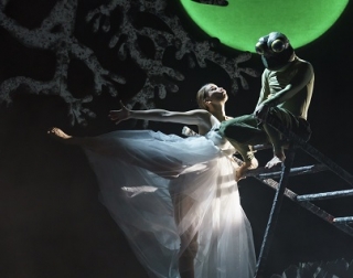 A woman dances in a white dress with a frog on a ladder A woman dances in a white dress with a frog on a ladder