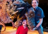Dinosaur Zoo Dinosaur Zoo