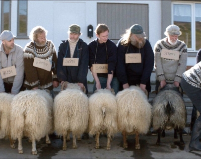 Rams Rams