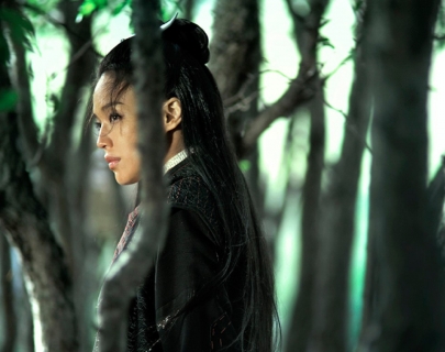 The Assassin The Assassin