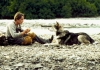 White Fang White Fang
