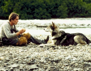 White Fang White Fang