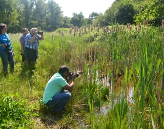 Students photographing the wildlife on Warwick University campus Students photographing the wildlife on Warwick University campus