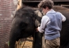 An image of a boy standing looking at a baby elephant An image of a boy standing looking at a baby elephant