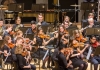 The strings section of the orchestra, composed of young men and women playing violins The strings section of the orchestra, composed of young men and women playing violins